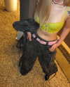 moka997k.y Altpins Profile Picture