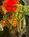 mollieruck Altpins Profile Picture