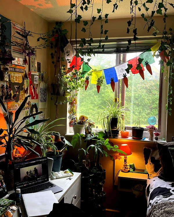 mollieruck instagram image archive image