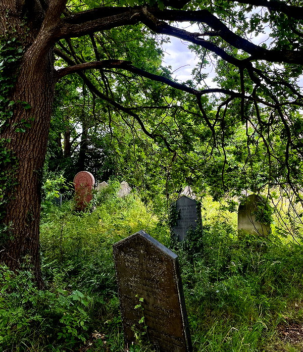 mollieruck instagram image archive image