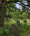 mollieruck Altpins Profile Picture