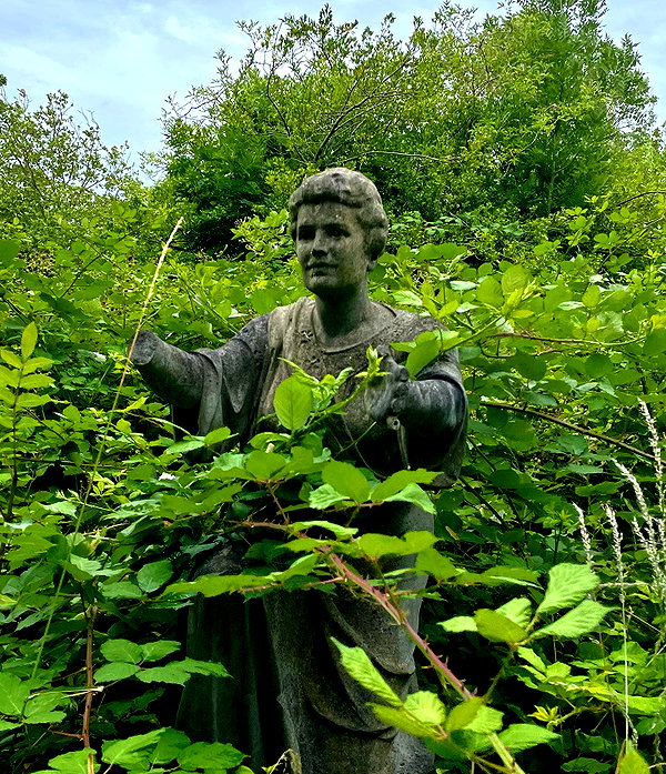mollieruck instagram image archive image