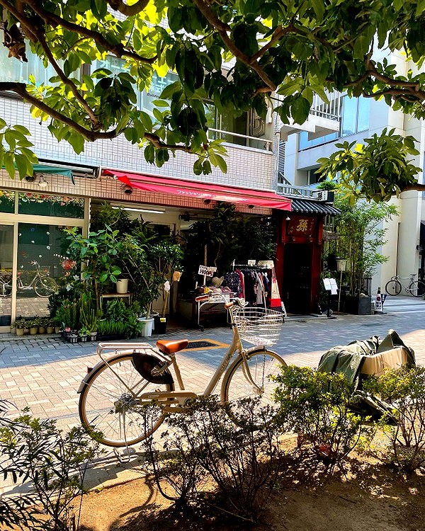 mollieruck instagram image archive image