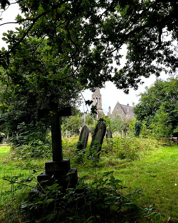 mollieruck instagram image archive image