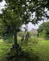 mollieruck Altpins Profile Picture