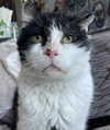 mollieruck Altpins Profile Picture