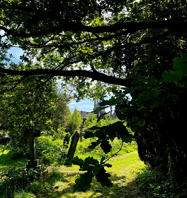 mollieruck instagram image archive image