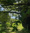 mollieruck Altpins Profile Picture