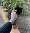 mollieruck Altpins Profile Picture