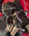 mollieruck Altpins Profile Picture