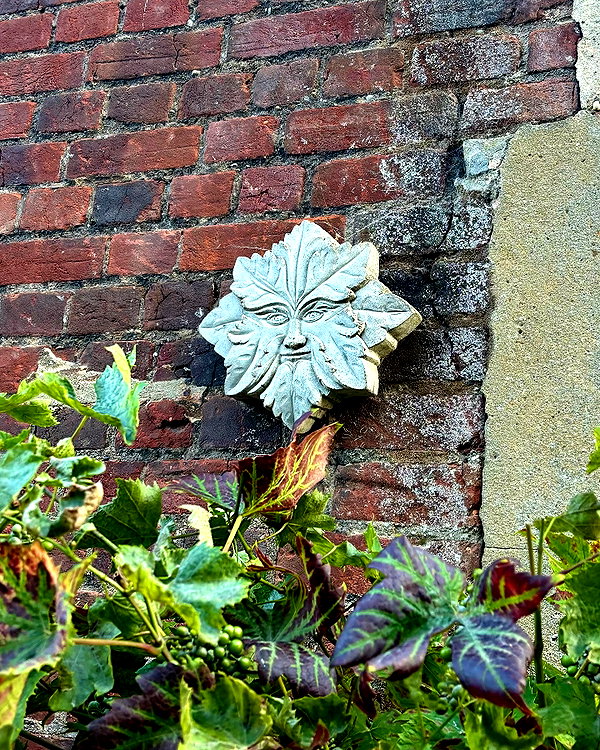 mollieruck instagram image archive image