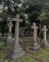 mollieruck Altpins Profile Picture