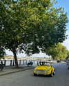 mollieruck Altpins Profile Picture