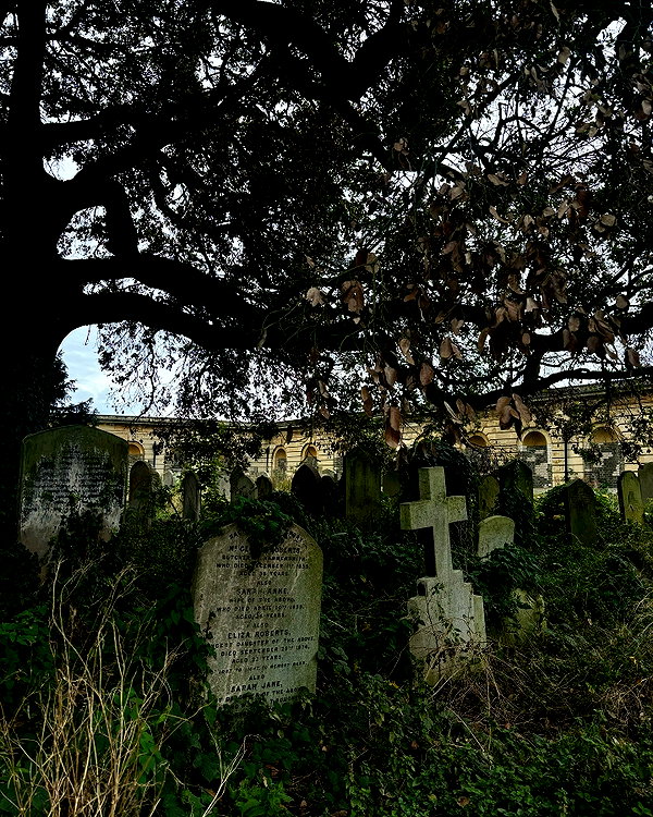 mollieruck instagram image archive image
