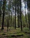 mollieruck Altpins Profile Picture