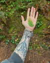 mollieruck Altpins Profile Picture