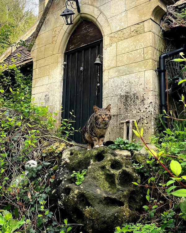 mollieruck instagram image archive image