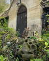mollieruck Altpins Profile Picture