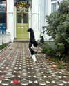 mollieruck Altpins Profile Picture