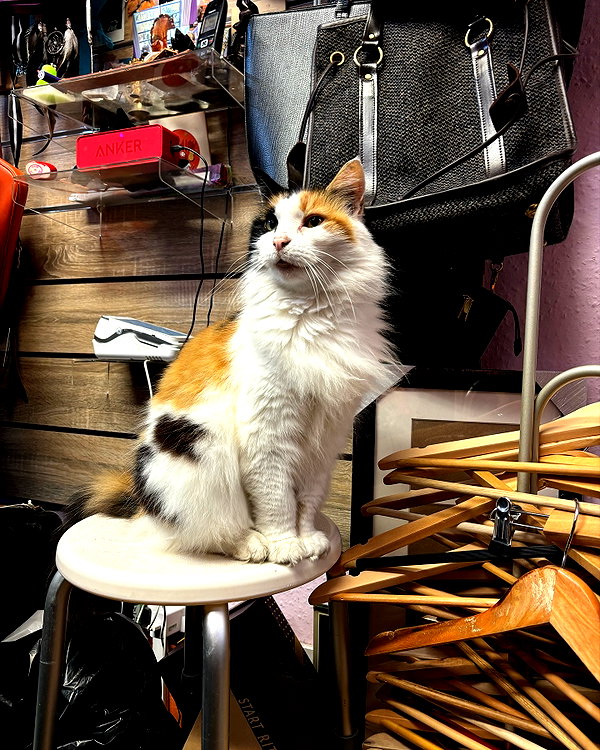 mollieruck instagram image archive image
