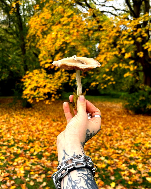 mollieruck instagram image archive image
