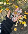 mollieruck Altpins Profile Picture