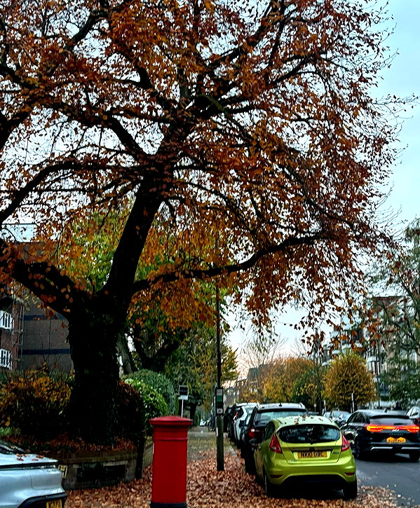 mollieruck instagram image archive image
