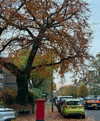 mollieruck Altpins Profile Picture