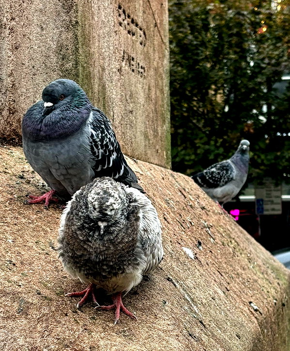 mollieruck instagram image archive image