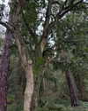 mollieruck Altpins Profile Picture