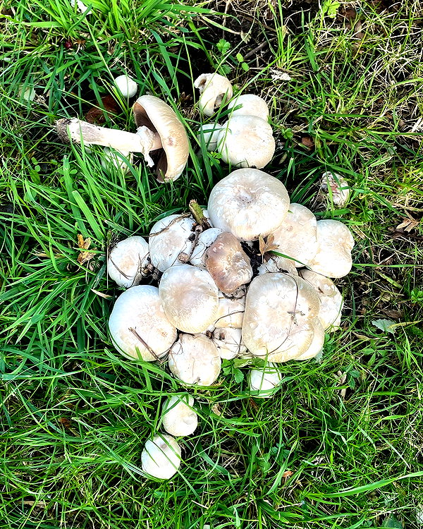 mollieruck instagram image archive image