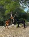 mollieruck Altpins Profile Picture