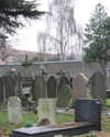 mollieruck Altpins Profile Picture