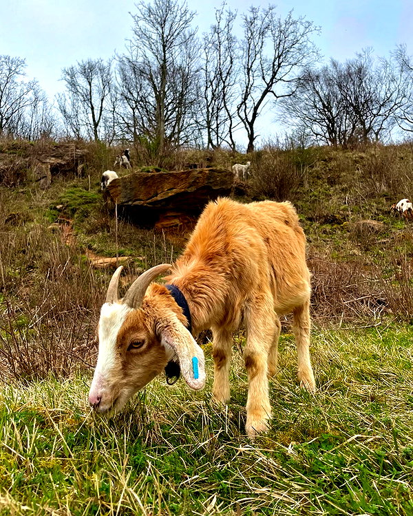 mollieruck instagram image archive image