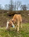 mollieruck Altpins Profile Picture