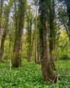mollieruck Altpins Profile Picture