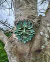 mollieruck Altpins Profile Picture