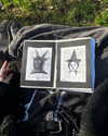 mollieruck Altpins Profile Picture