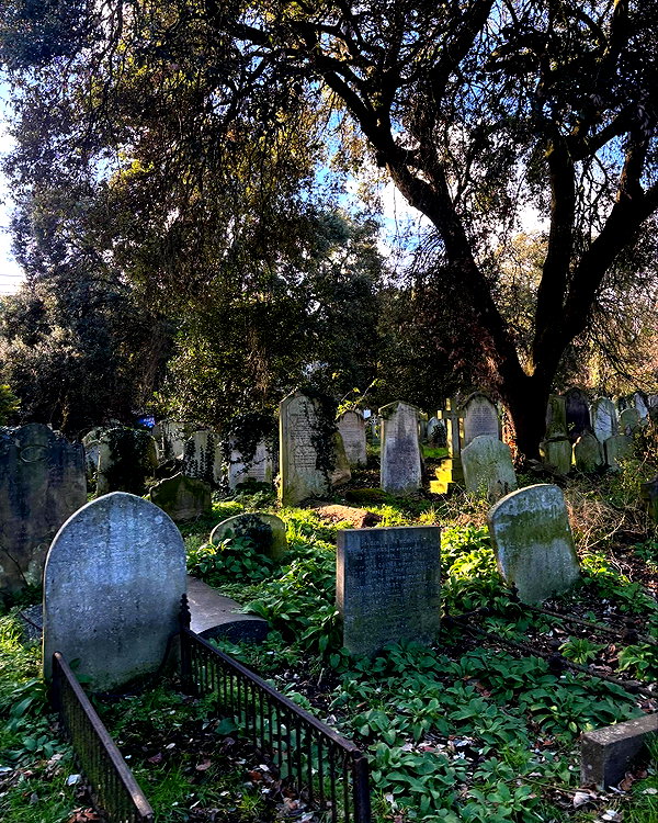 mollieruck instagram image archive image