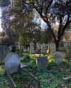 mollieruck Altpins Profile Picture