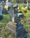 mollieruck Altpins Profile Picture