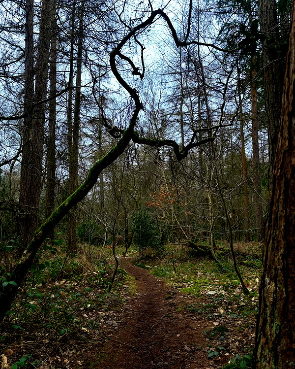 mollieruck instagram image archive image