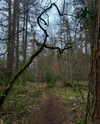mollieruck Altpins Profile Picture