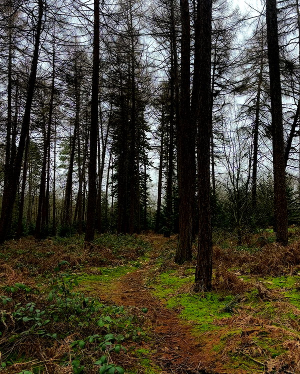 mollieruck instagram image archive image