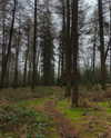 mollieruck Altpins Profile Picture