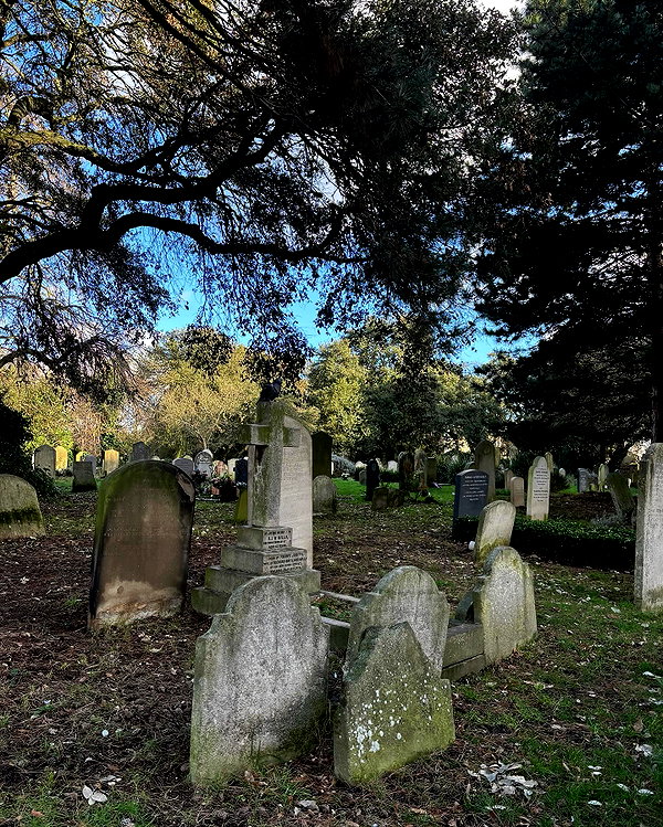 mollieruck instagram image archive image