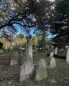 mollieruck Altpins Profile Picture