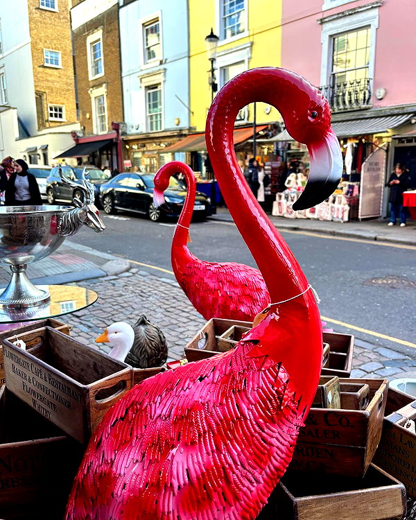 mollieruck instagram image archive image