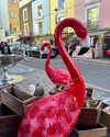 mollieruck Altpins Profile Picture