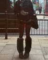 mollieruck Altpins Profile Picture